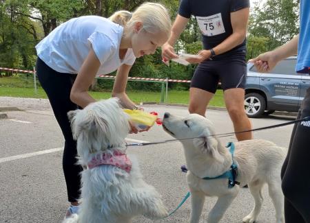 Mirna - 9 Dobrodelni Trimmigo, foto N Finzgar (7)